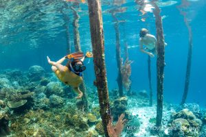 Photos_Snorkel_Dive_Resort_Raja_Ampat