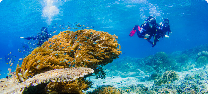 10D/11N DIVE ONLY PACKAGE